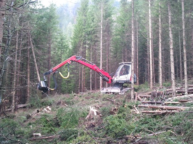 2011-04-05 12.43.45.jpg