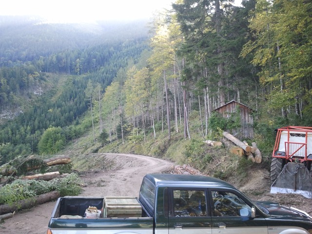 2011-09-25 16.47.15.jpg