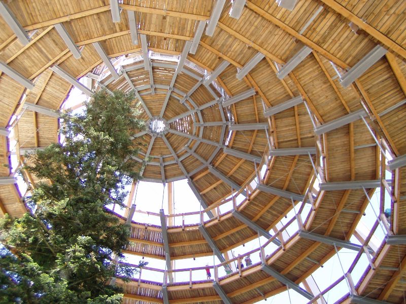 P1010006 - Kopie.JPG