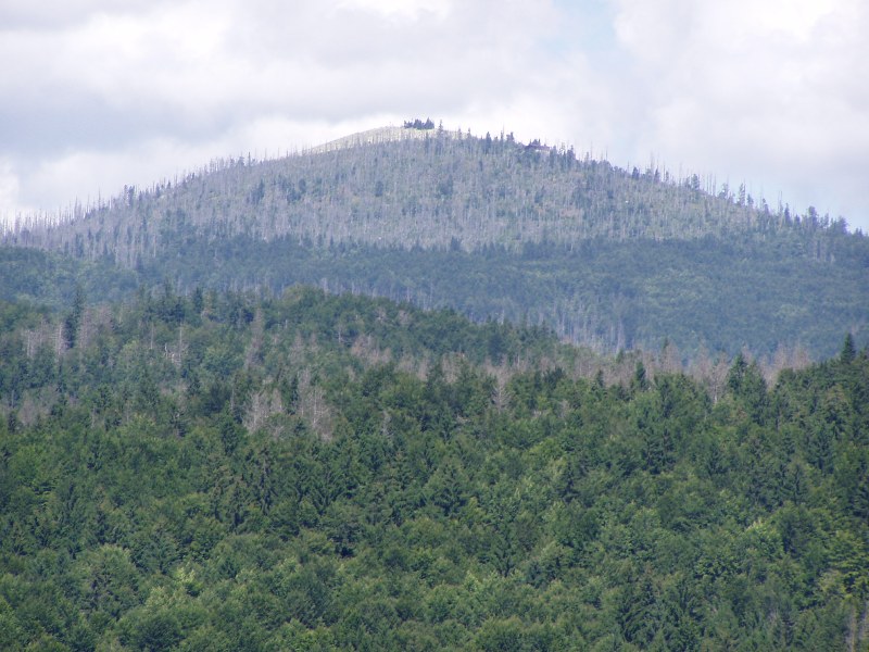 P1010024 - Kopie.JPG