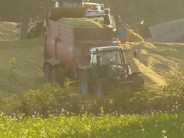 P9260007.JPG