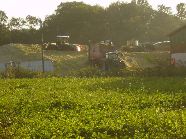 P9260008.JPG