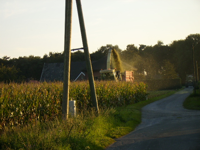 P9260009.JPG
