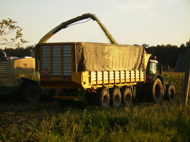 P9260022.JPG