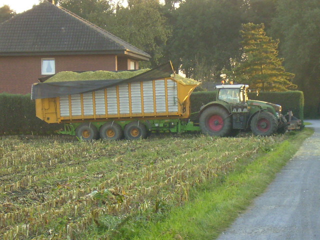 P9260024.JPG