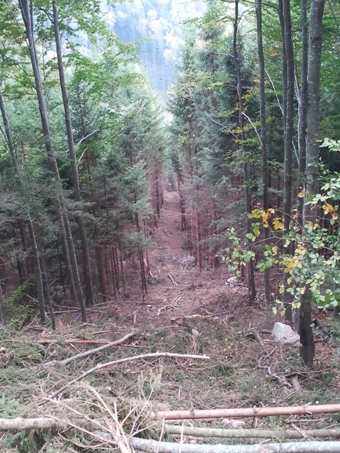 2011-10-05 16.51.43.jpg