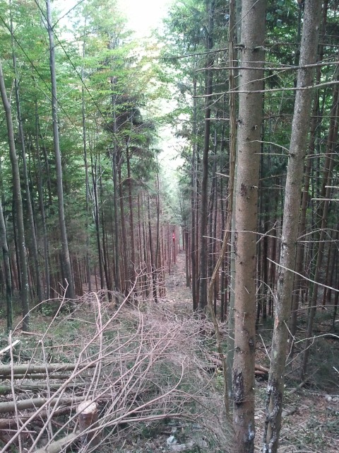 2011-10-05 16.27.10.jpg