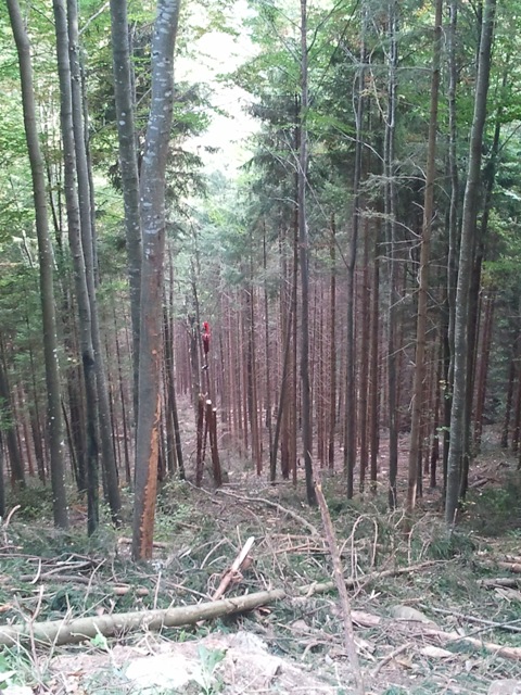 2011-10-05 16.07.05.jpg