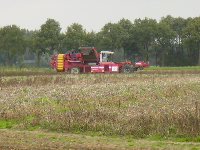 P9300001.JPG