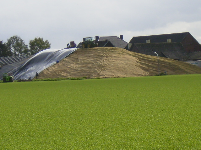PA020004.JPG