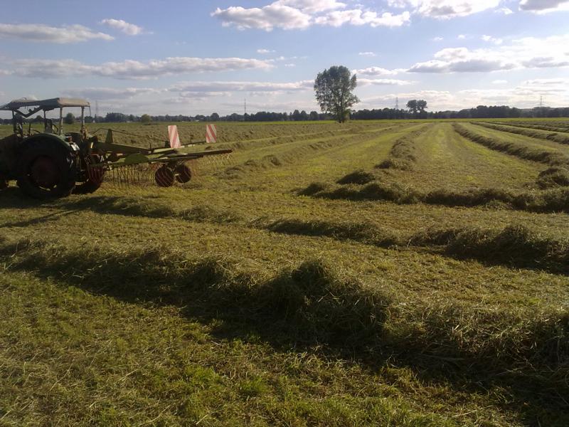 Deutz beim Schwaden 2010 1.JPG