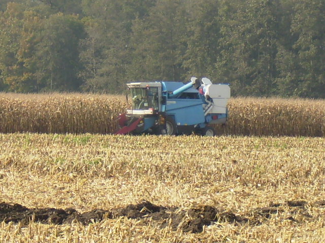 PA120025.JPG