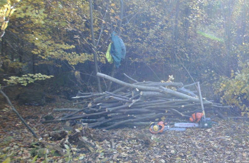 Knüppelholz-1.jpg