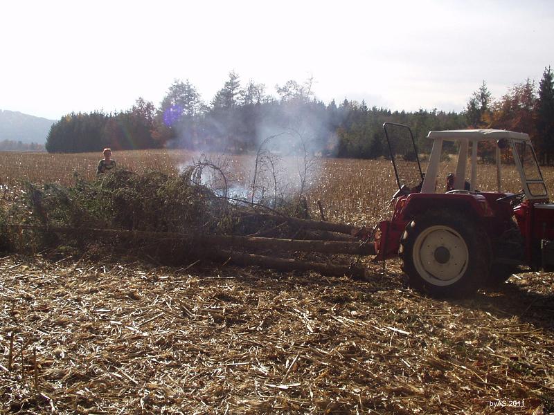 Randfichten_Äste_verbrennen_PB050061_2.JPG