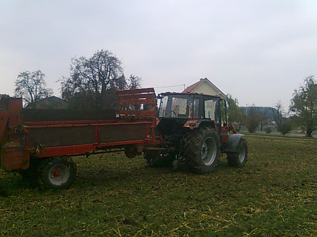 Bild0144.jpg