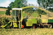 claas sf 60.jpg