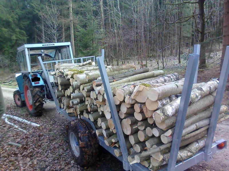 holz.jpg