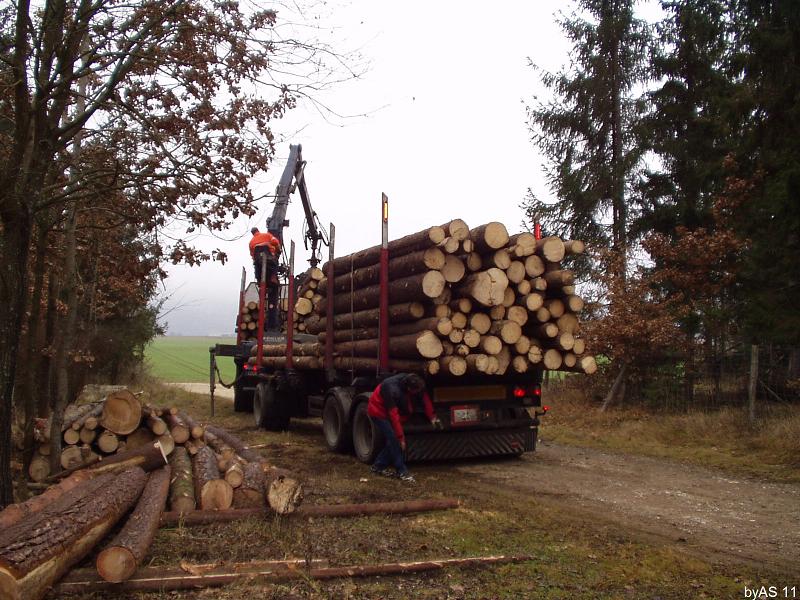 Fichtenbloche_Abtransport_11_11_PB240002_2.JPG