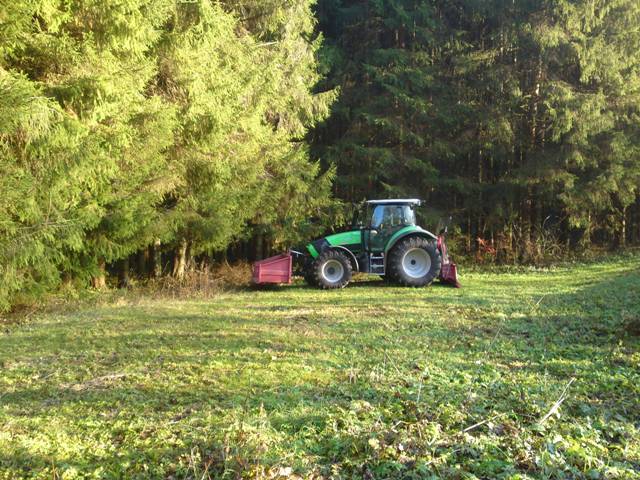 K 610 Wald 2.JPG