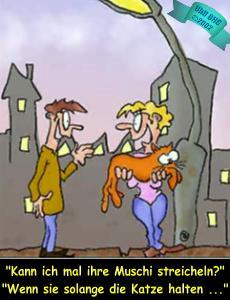 katzehalten.jpg