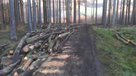 IMAG0016 - Kopie.jpg