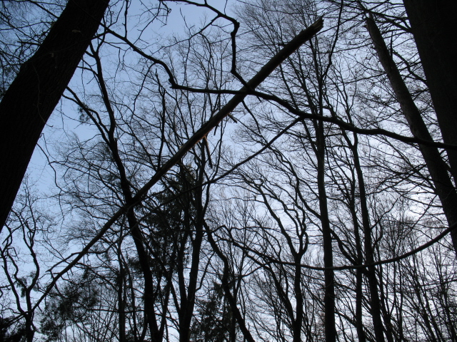 Auf die Krone achten !!.jpg