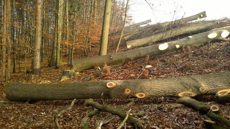 041220111272 (Kopie).jpg