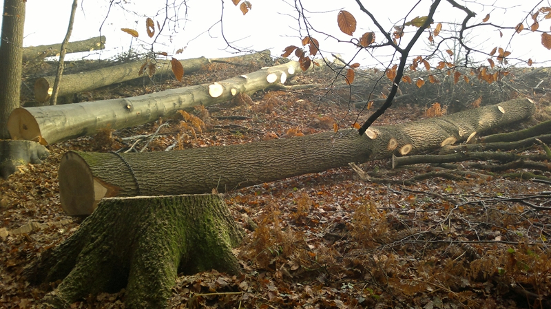 041220111274 (Kopie).jpg