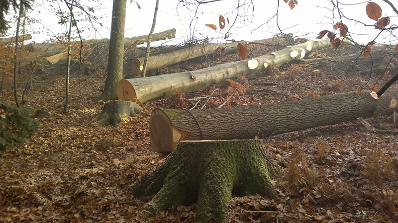 041220111275 (Kopie).jpg