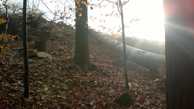 041220111277 (Kopie).jpg