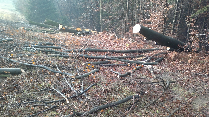 041220111278 (Kopie).jpg