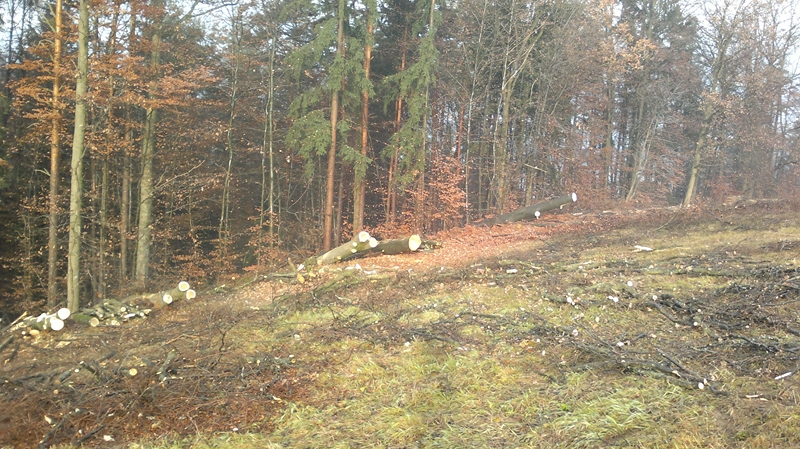 041220111279 (Kopie).jpg