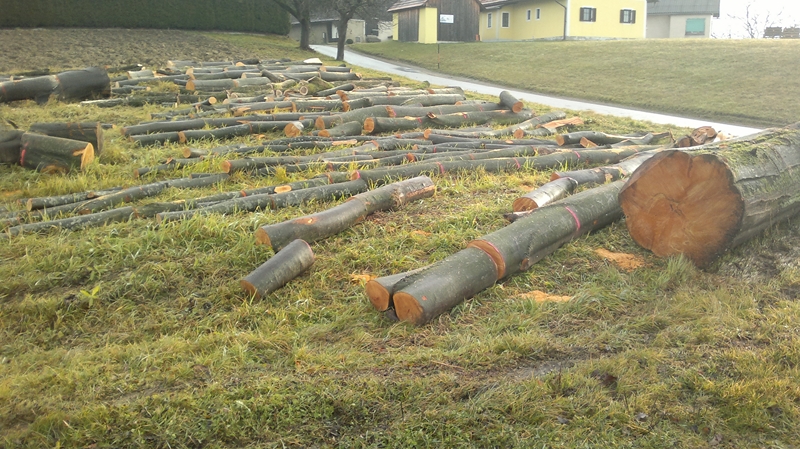 041220111269 (Kopie).jpg