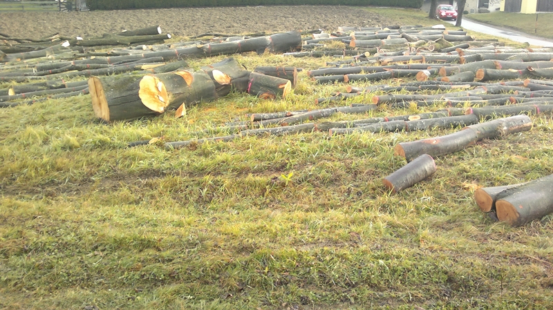 041220111270 (Kopie).jpg