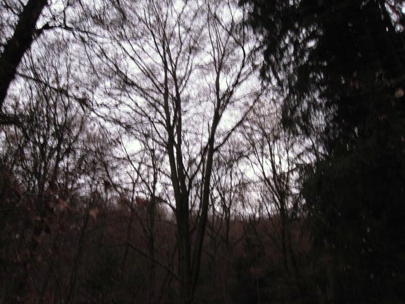 FK+Hauberg 014_800x600.jpg