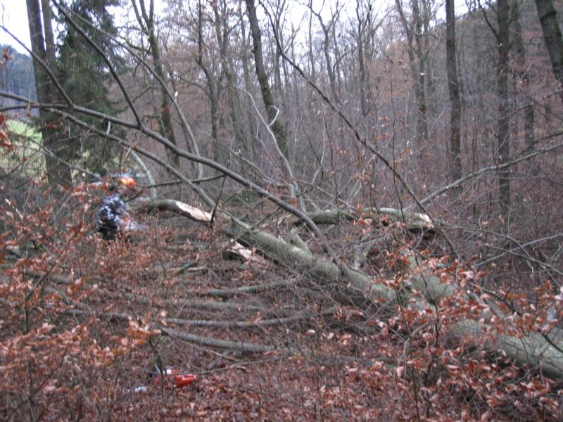 FK+Hauberg 019_800x600.jpg