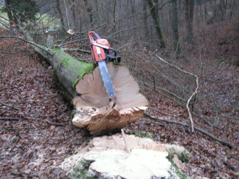 FK+Hauberg 020_800x600.jpg