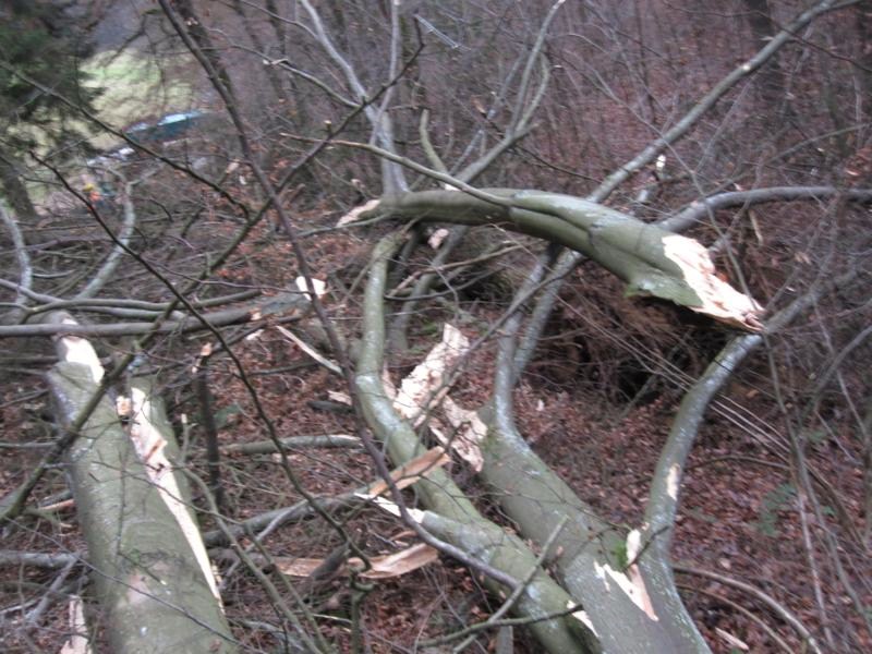 FK+Hauberg 024_800x600.jpg