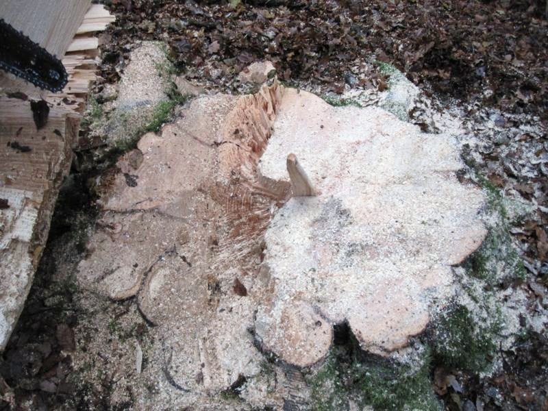 FK+Hauberg 026_800x600.jpg