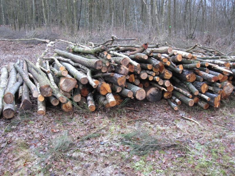 FK+Hauberg 032_800x600.jpg