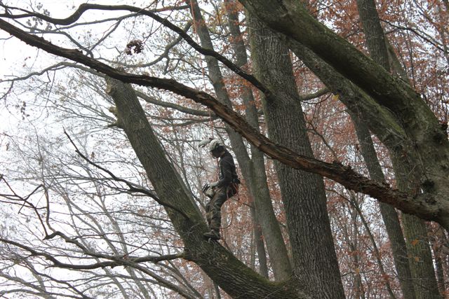 Starkastentfernung 1.jpg