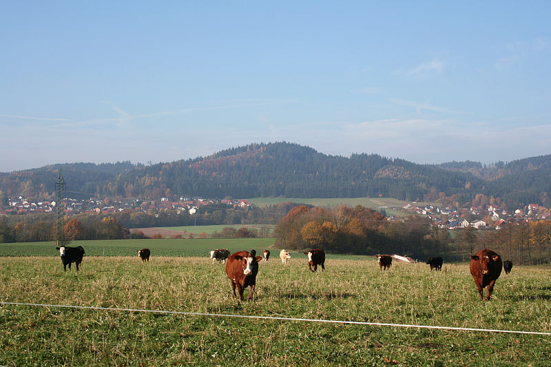 Frankenwald2.jpg