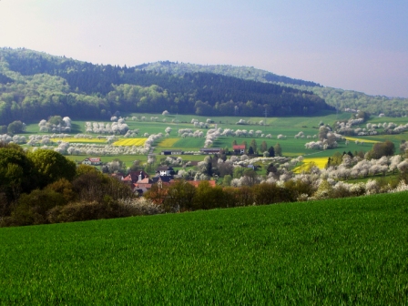 Blick übers Dorf.jpg