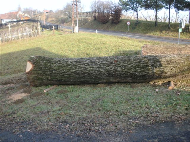 Der schwerste Brocken.JPG