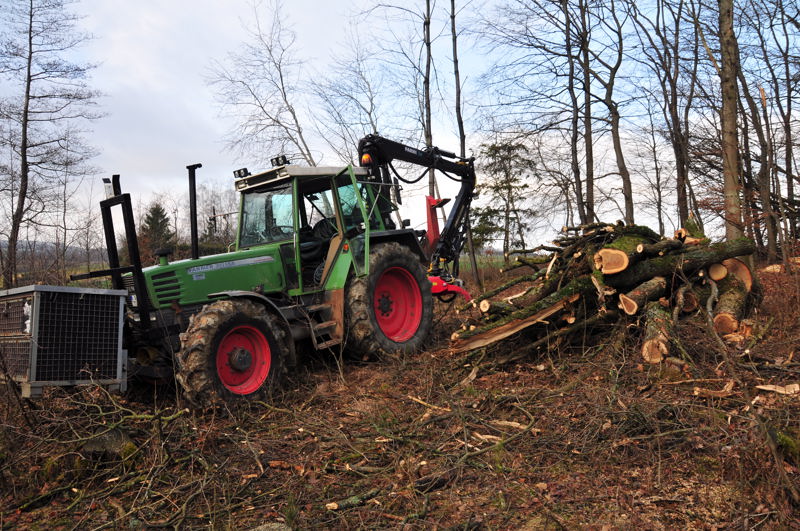 Greifersägentest 1.jpg