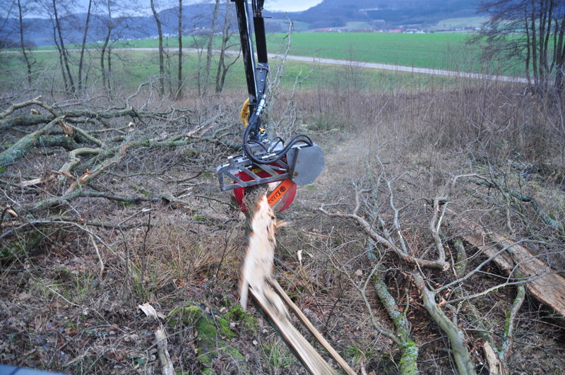 Greifersägentest 5.jpg