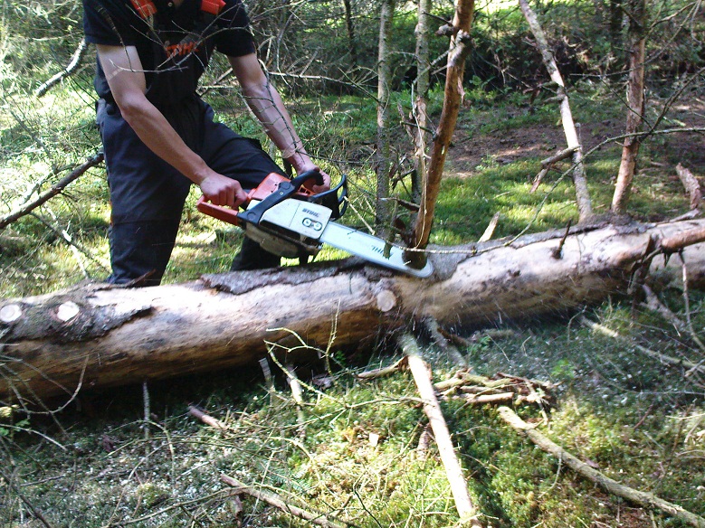 DSC00171 - Kopie.JPG