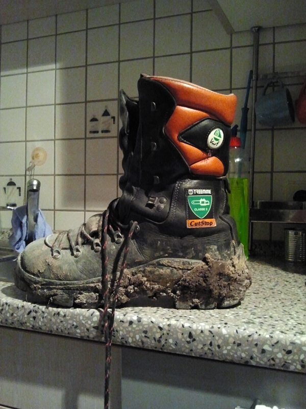 2012-01-28 19.21.29.jpg