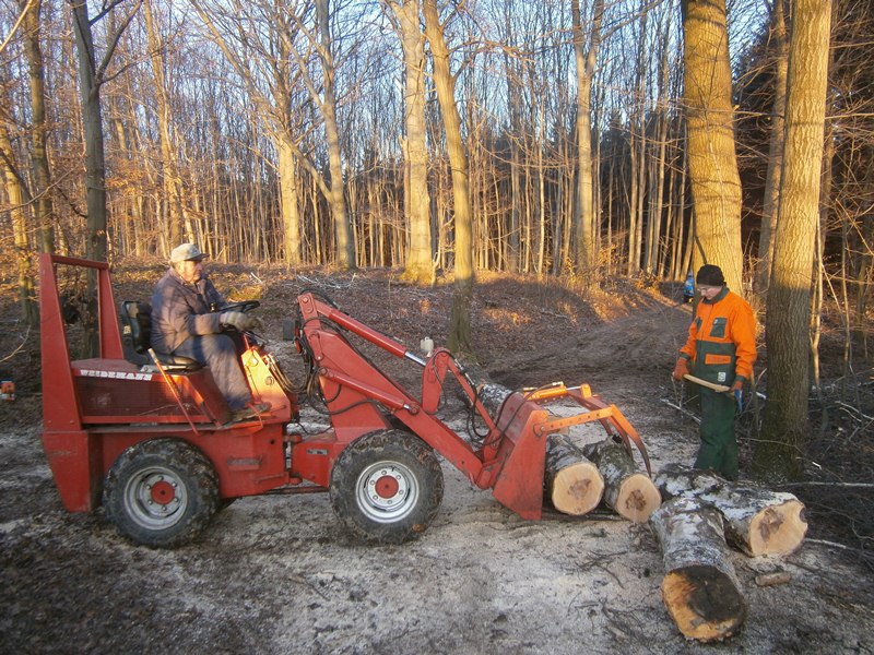 Endlich Frost, Rücken, ablängen, laden und Abfahren, alles geht.jpg