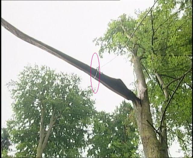 Jetzt wird der Kronenteil mit der Seilwinde runter gezogen.jpg